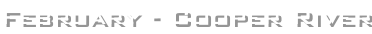 shapeimage_15_link_0