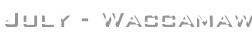 shapeimage_20_link_0
